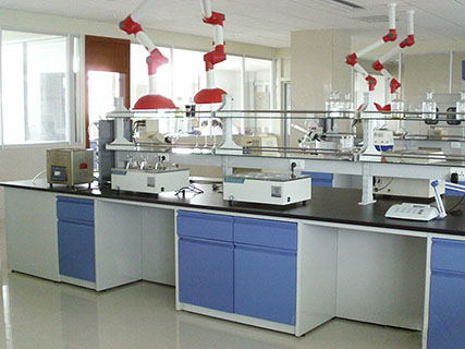 东升镇工厂实验室设计建设方案
